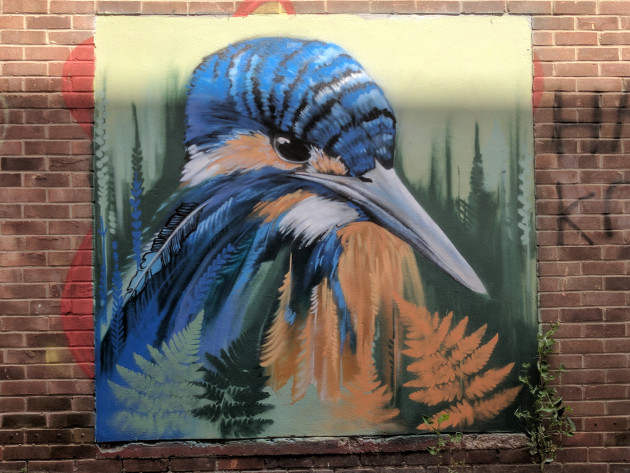Kingfisher street art